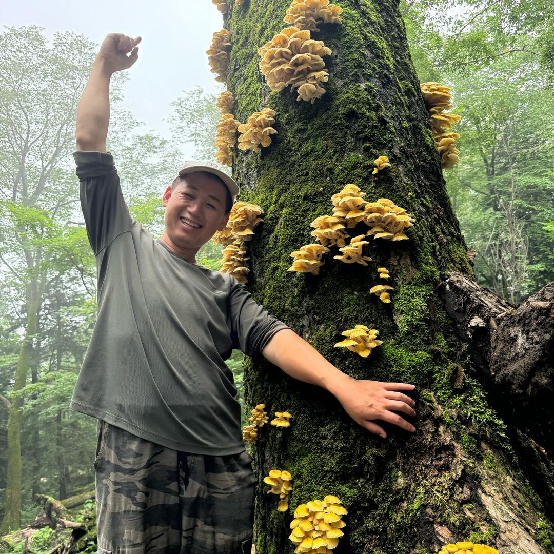 陈小方的山村日记
