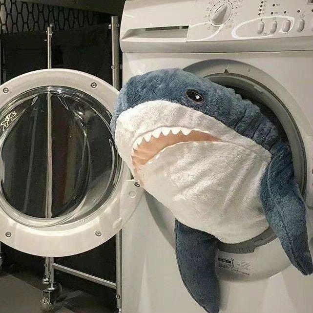 dyuygf
