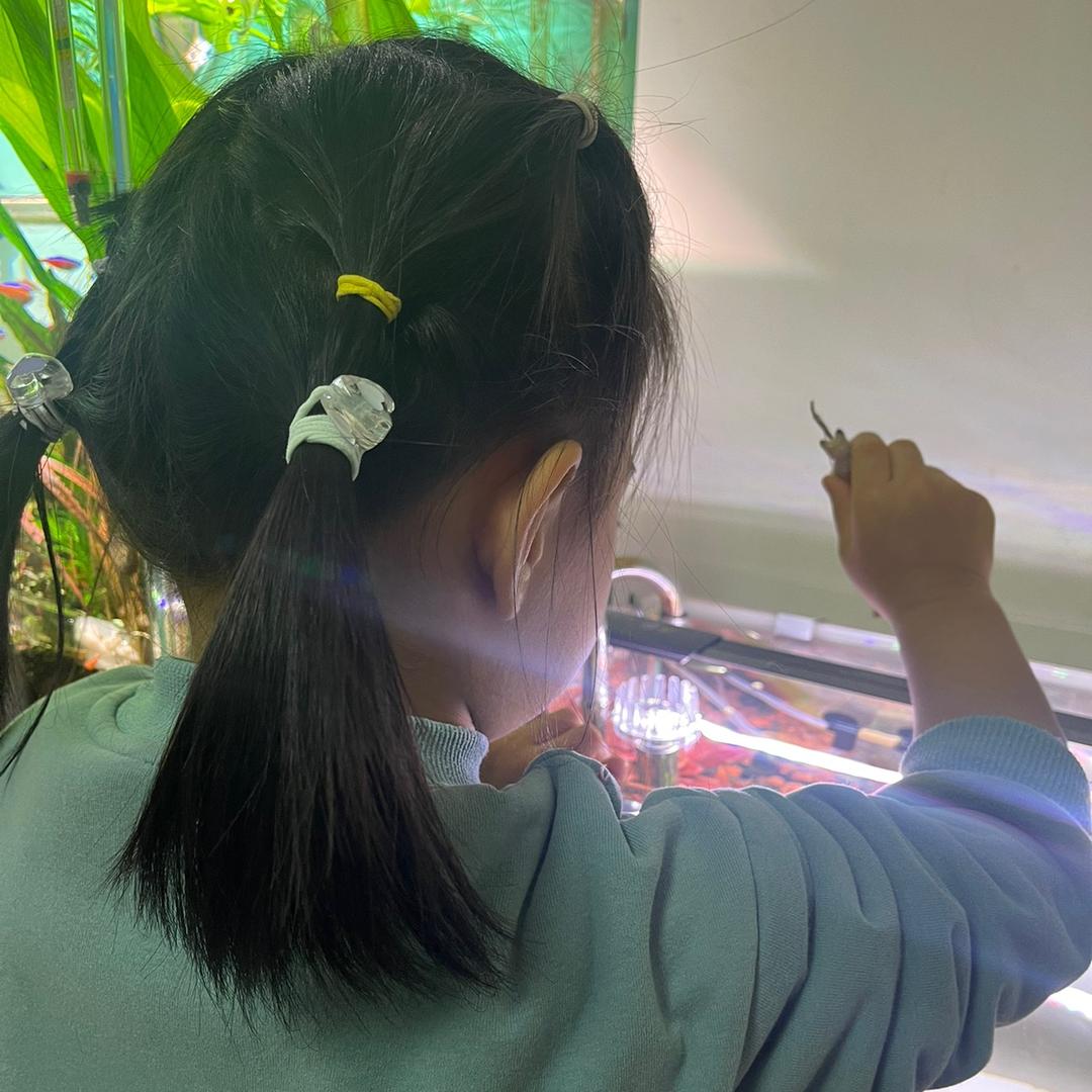 跟风学养鱼的阿伟