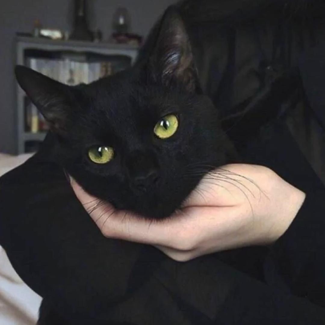 宇宙究极无敌暴龙战士