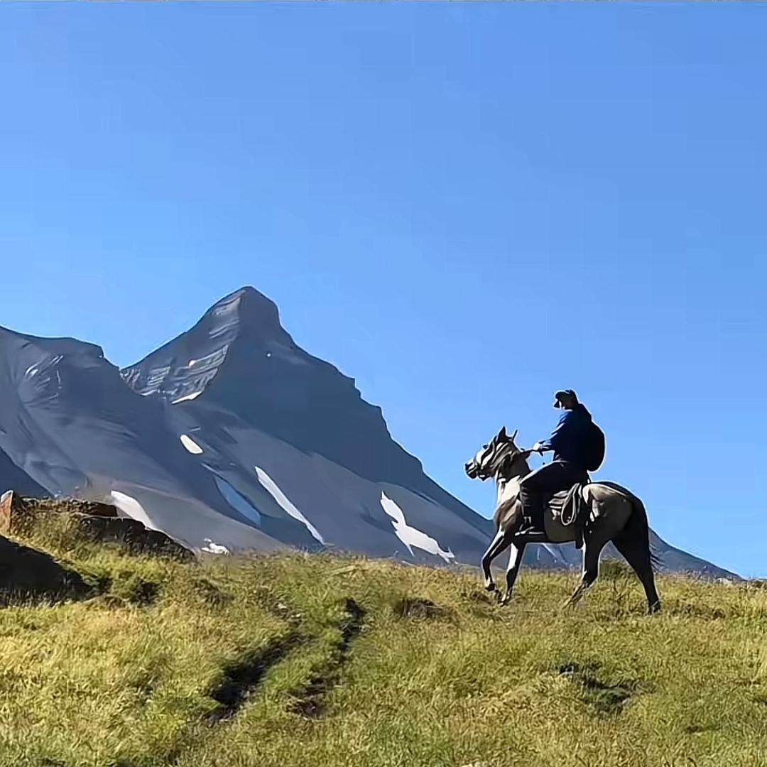 ᯓ十有.୧⍤⃝🌹