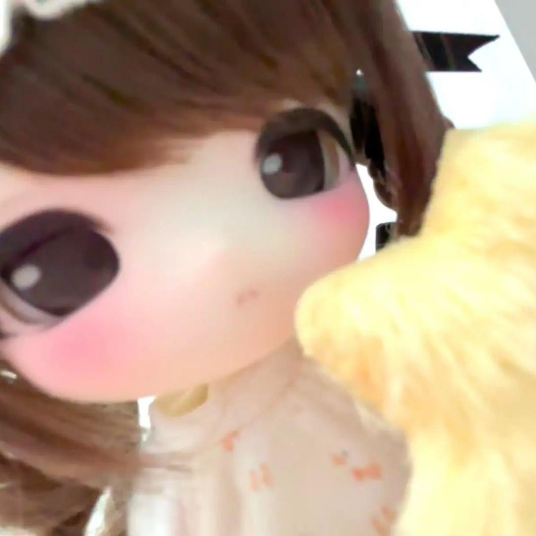 完美菊花108个褶