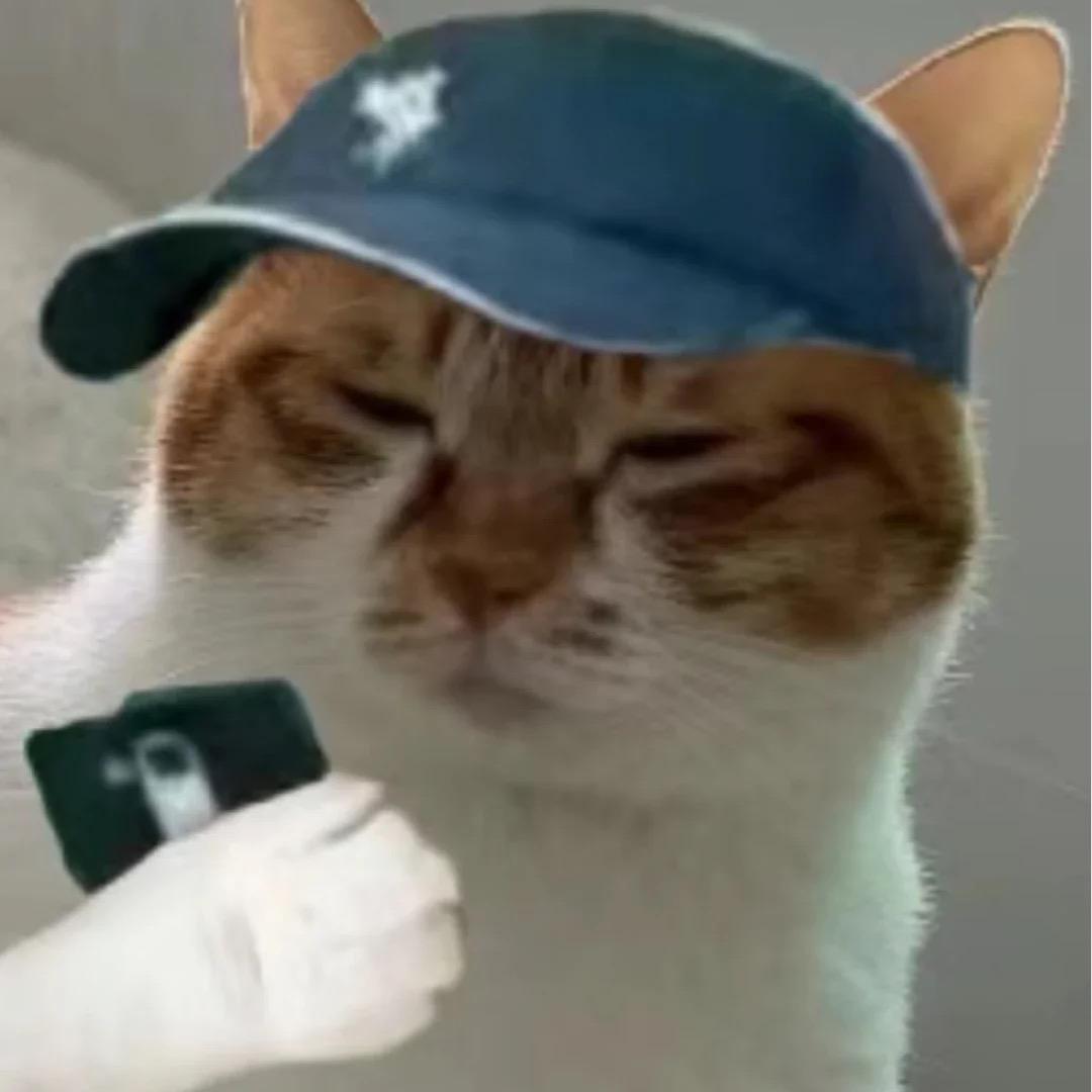 睡觉的猫（男生版）7️⃣