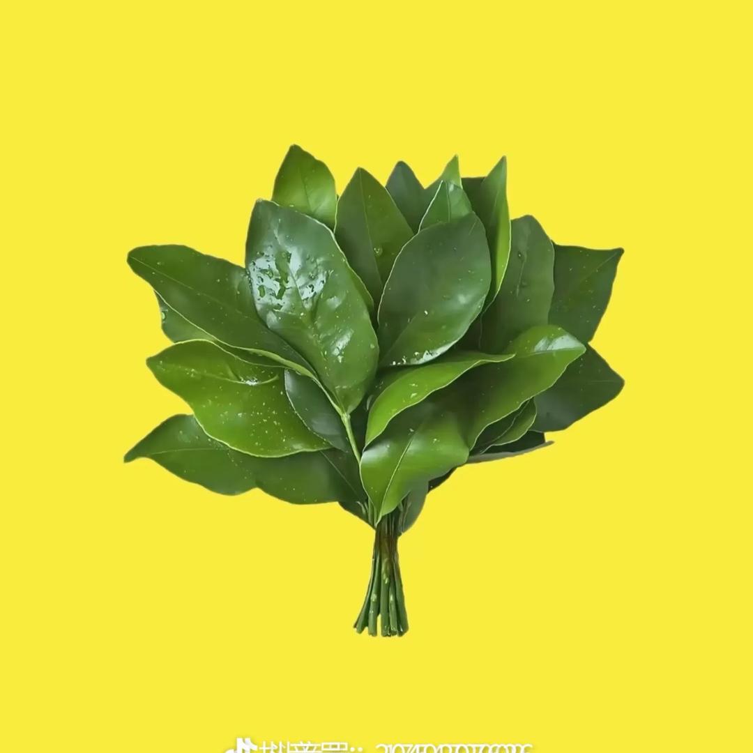 小栗子吖