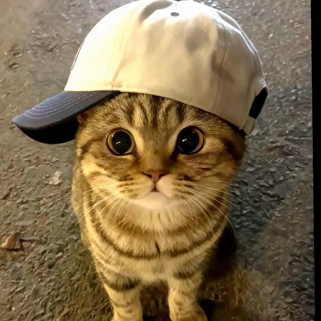 张显宗