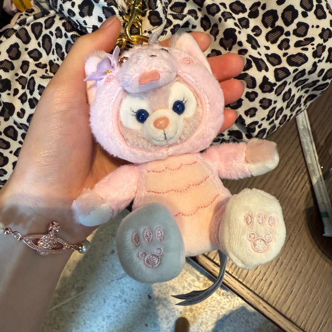 远飞艺考文化课丁老师