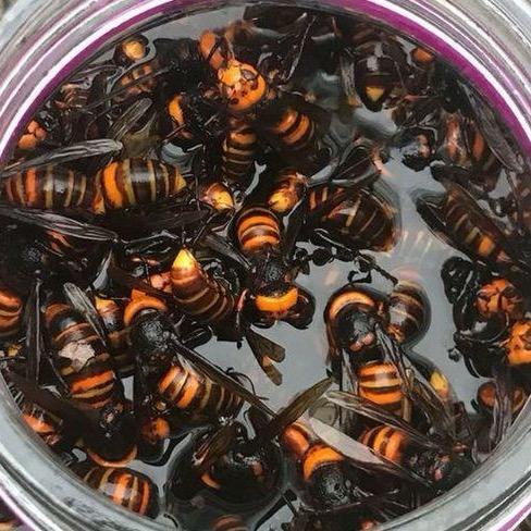 广西容县森工创意生活坊