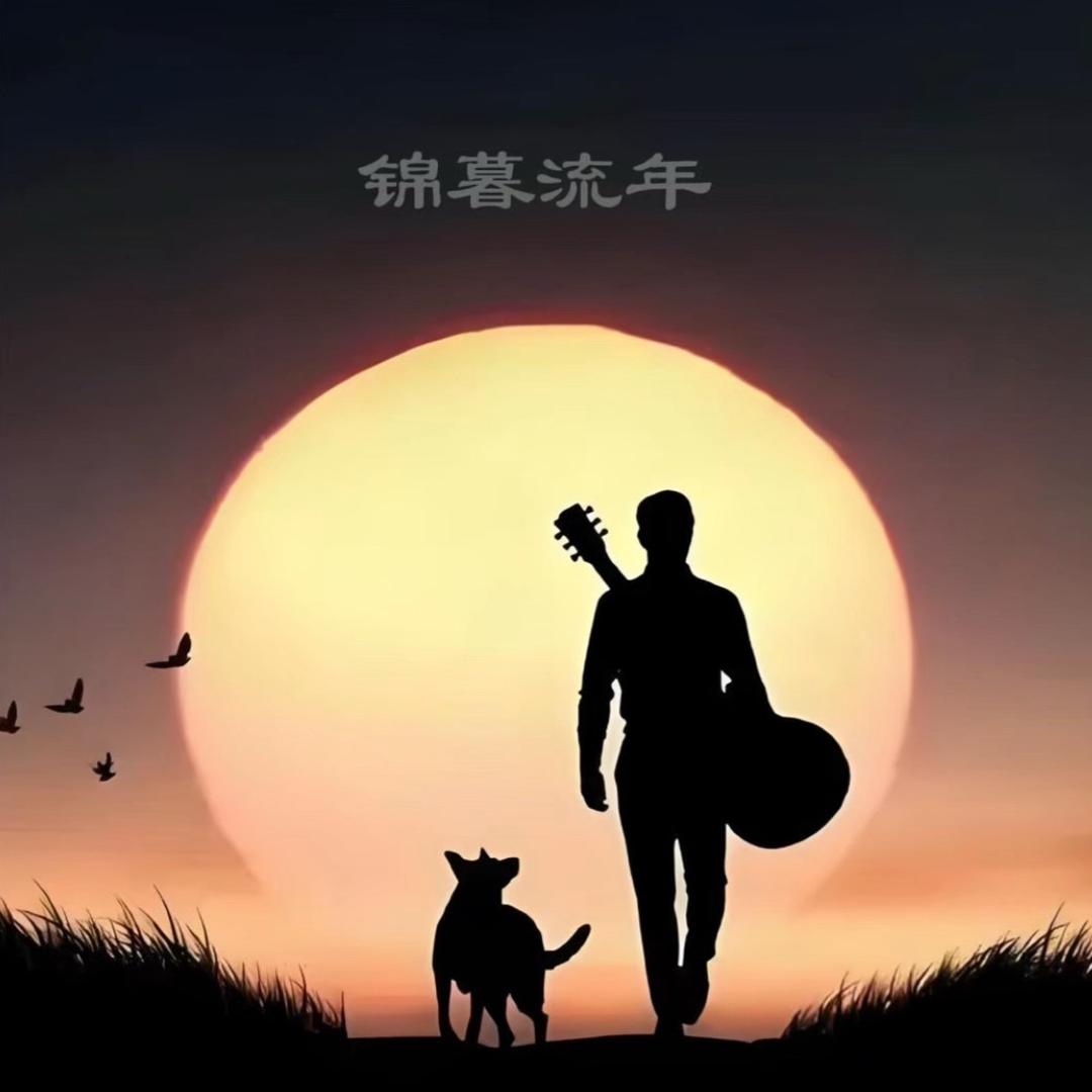 锦暮流年