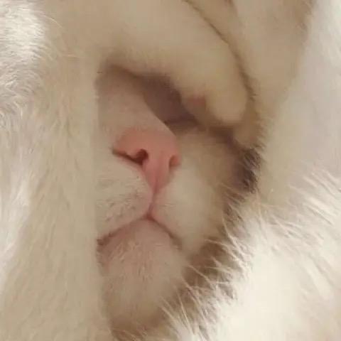 之间