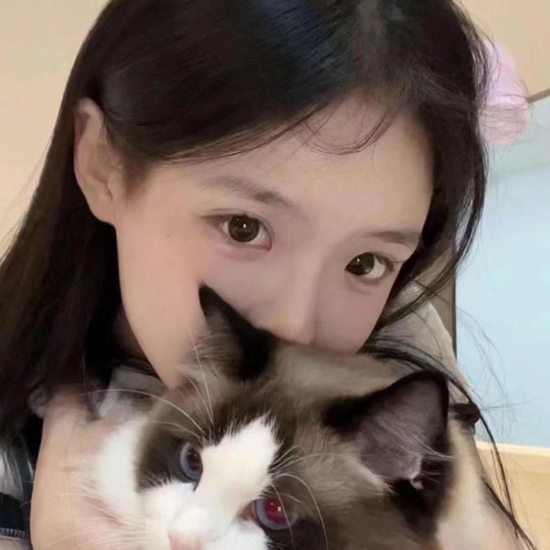 好运小猫