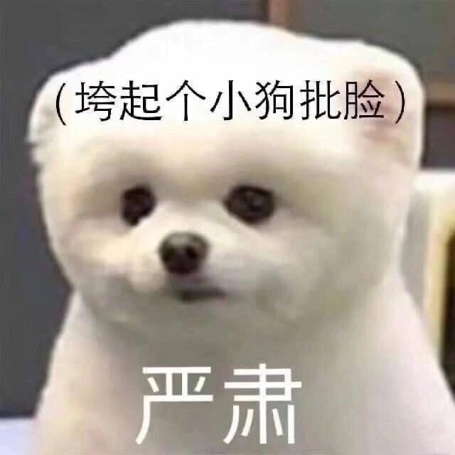 🐑我是小羊🌿？