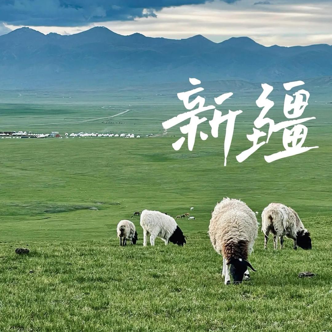 旅行中国