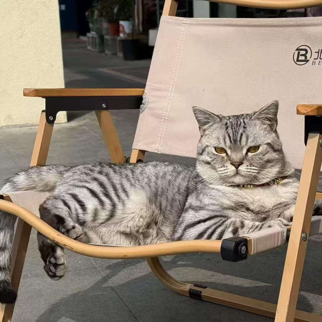 元了个宝（🌈店主）