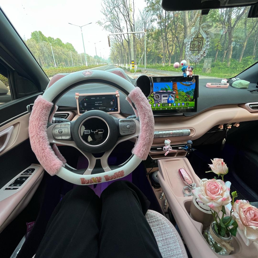 范范的小海鸥🐳