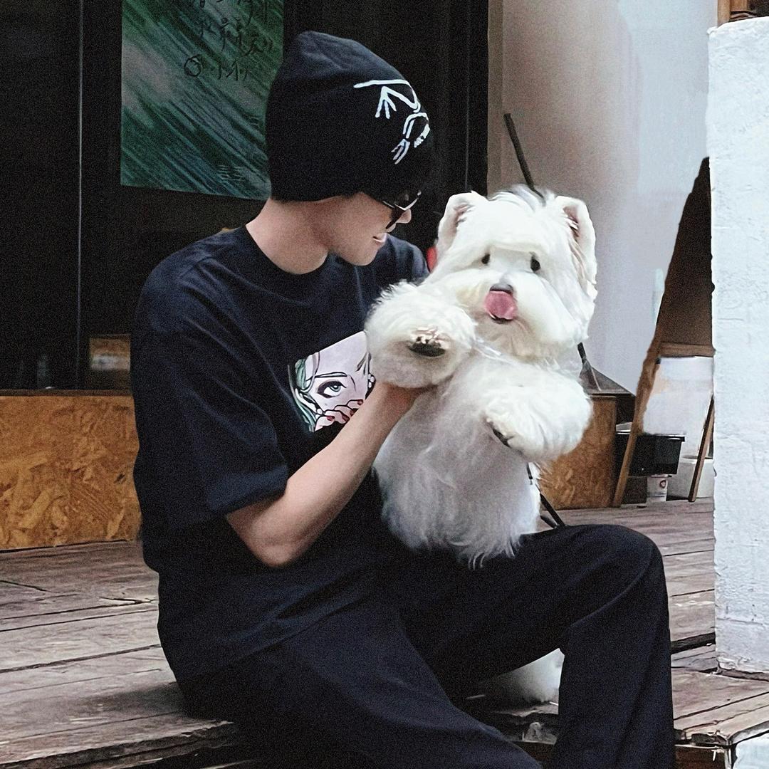 迦亿JiayiPet甄选西高地