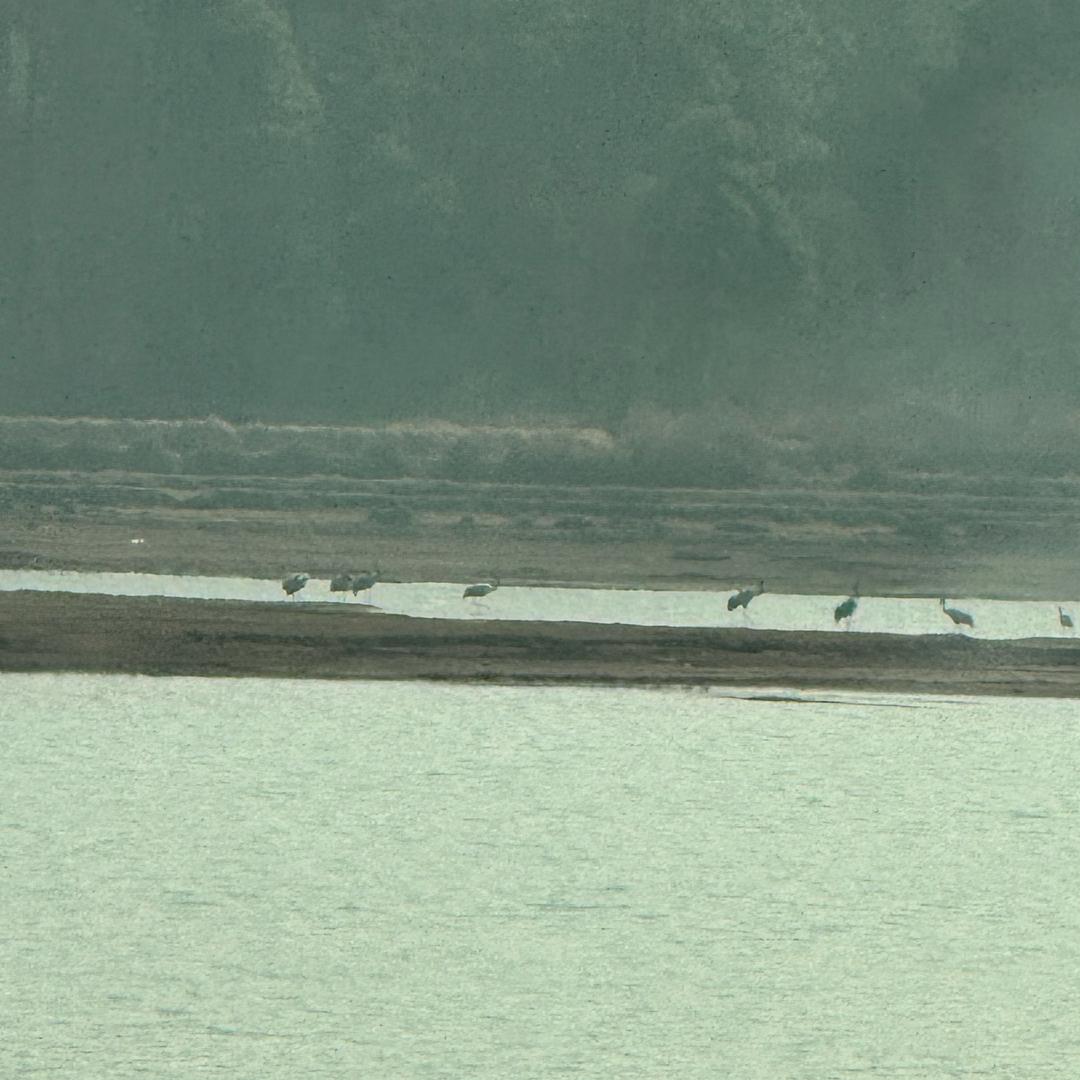 阿贝便利店阿贝七直播号