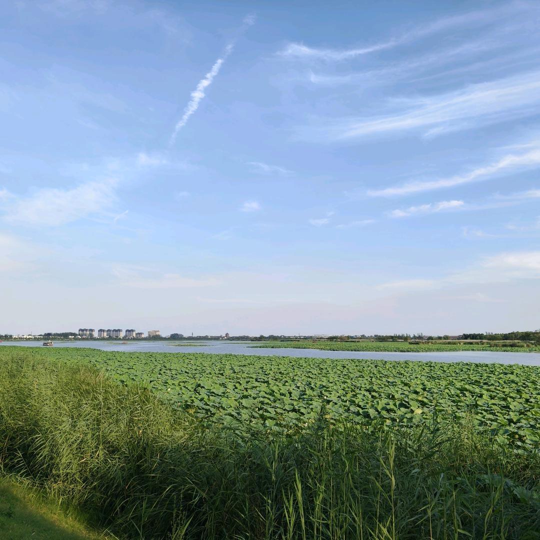 㷖轑襹-旺众家传媒