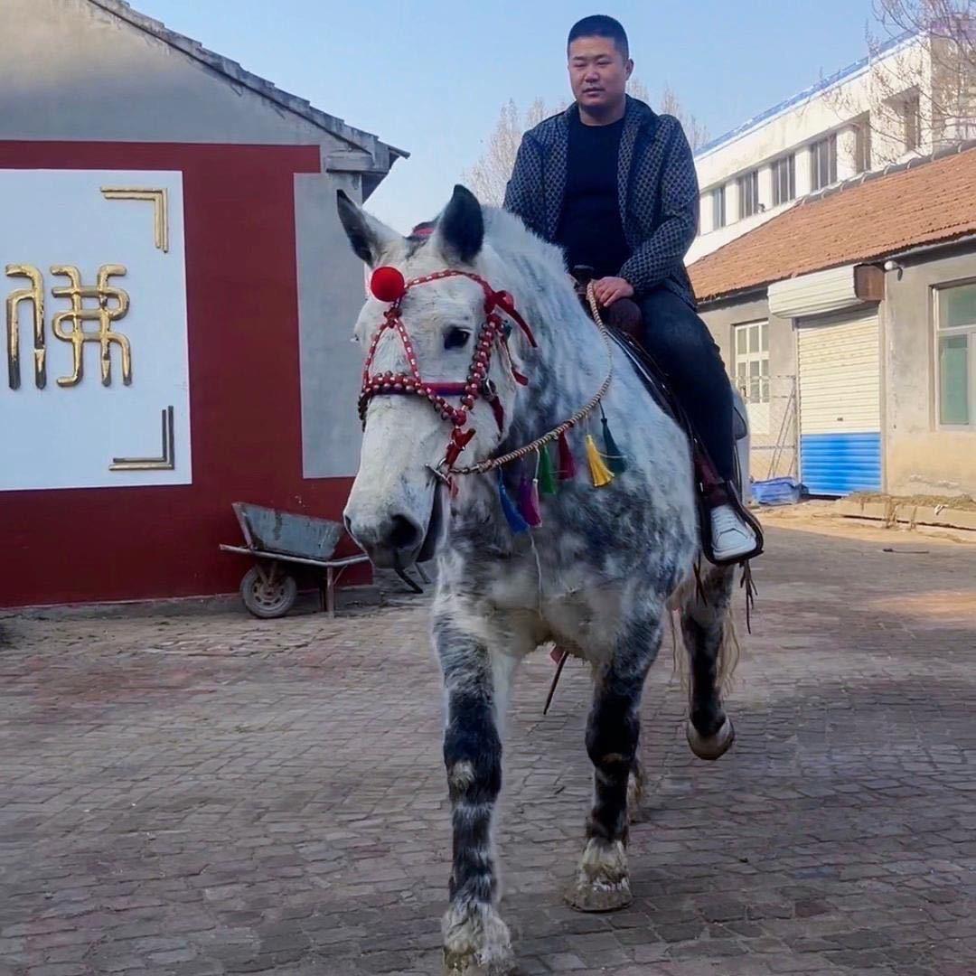 扶香客弟子李逸凡