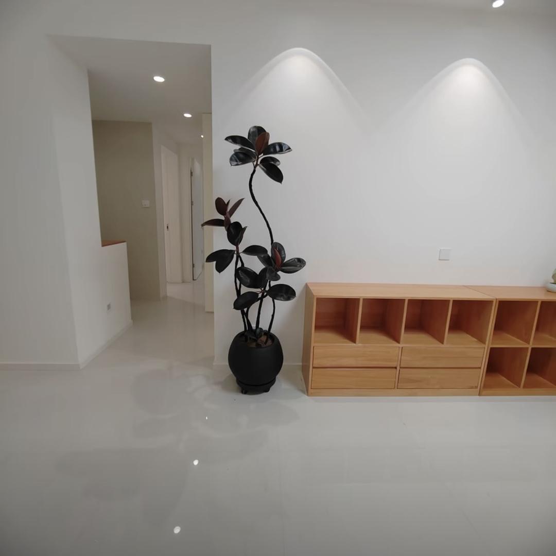 康诺婷花卉绿植基地