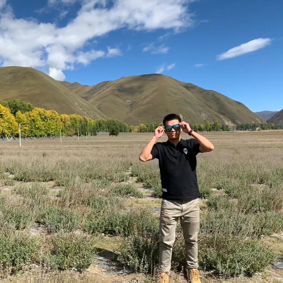 李不日白行不行