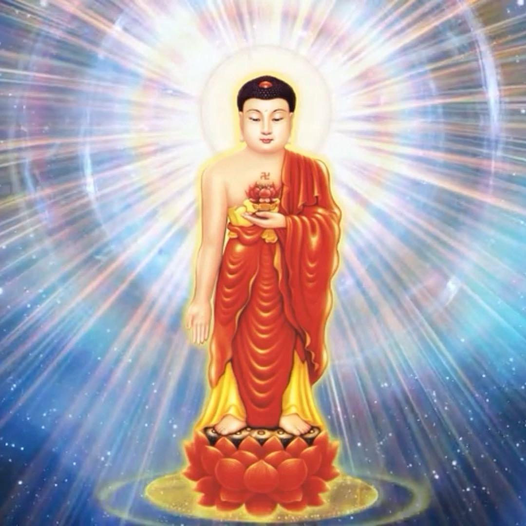 阿弥陀佛🪷