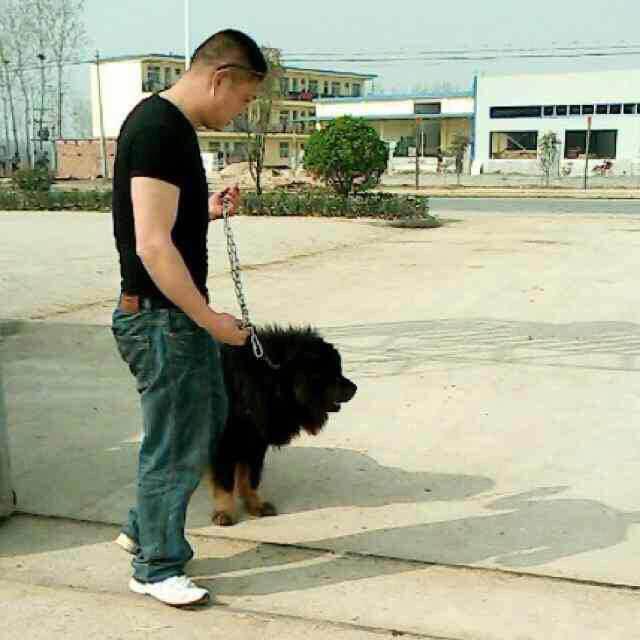 刘十三