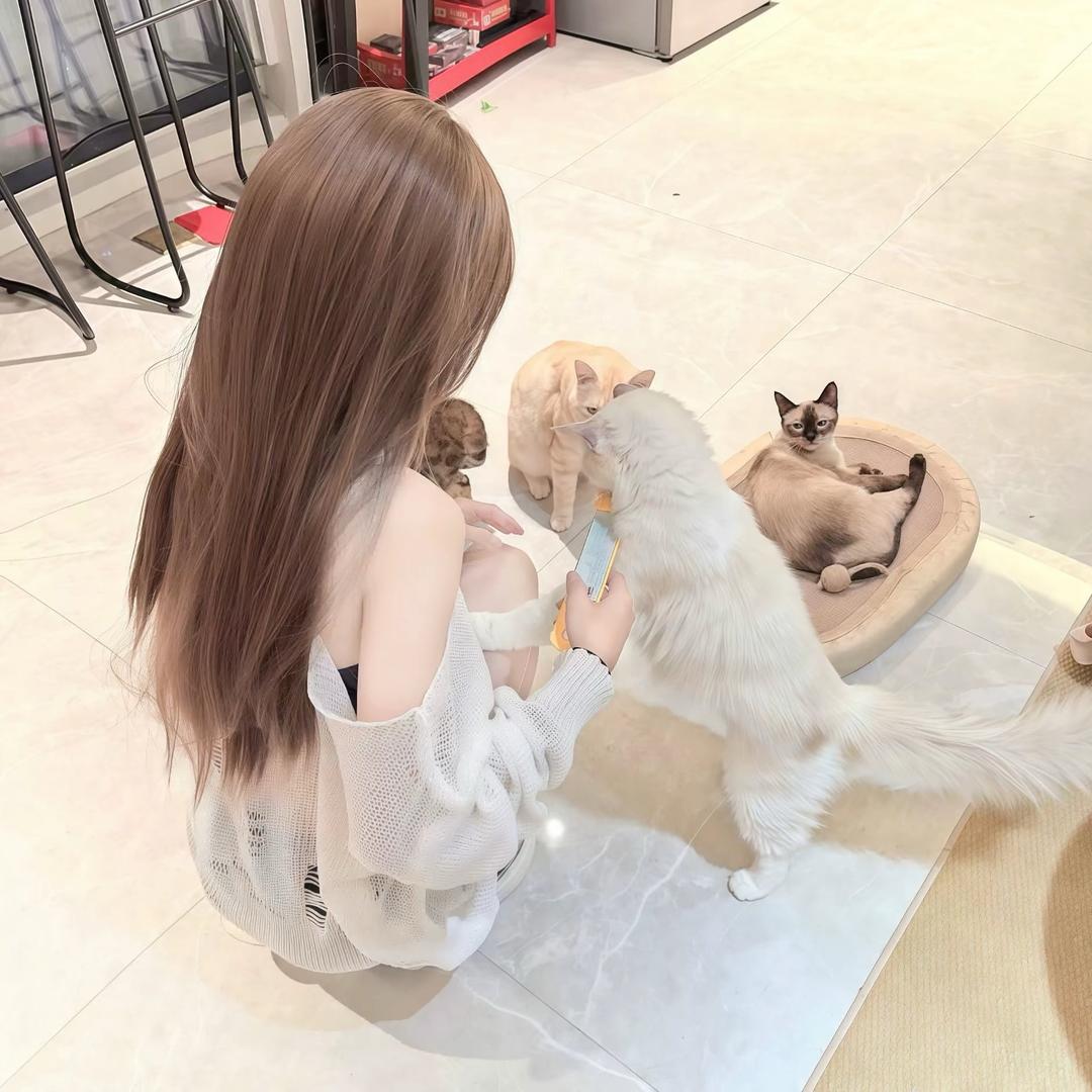 眠綿