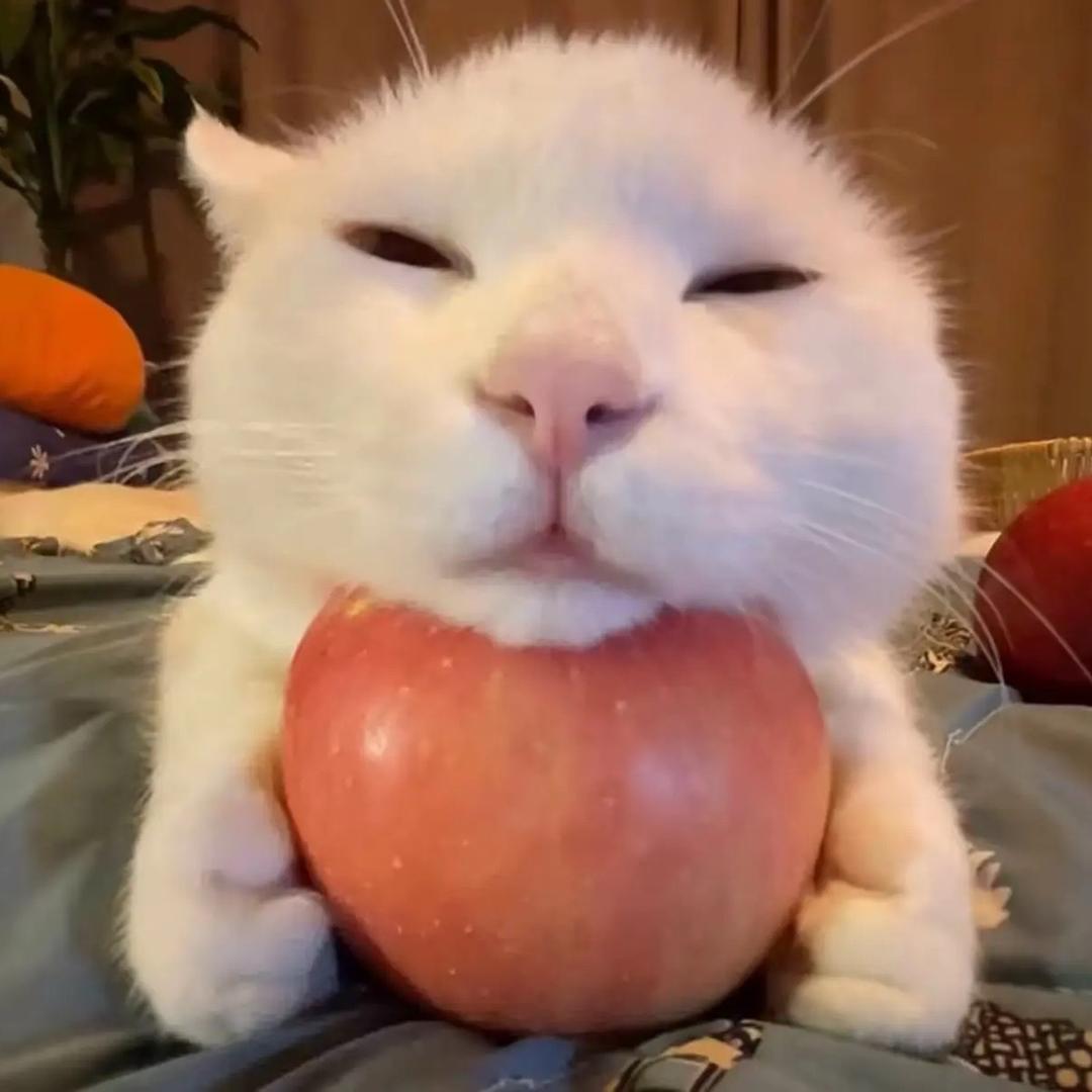 冬稔