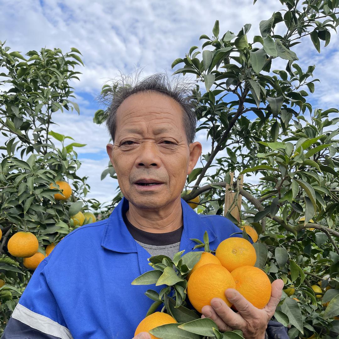桔之初生鲜水果店