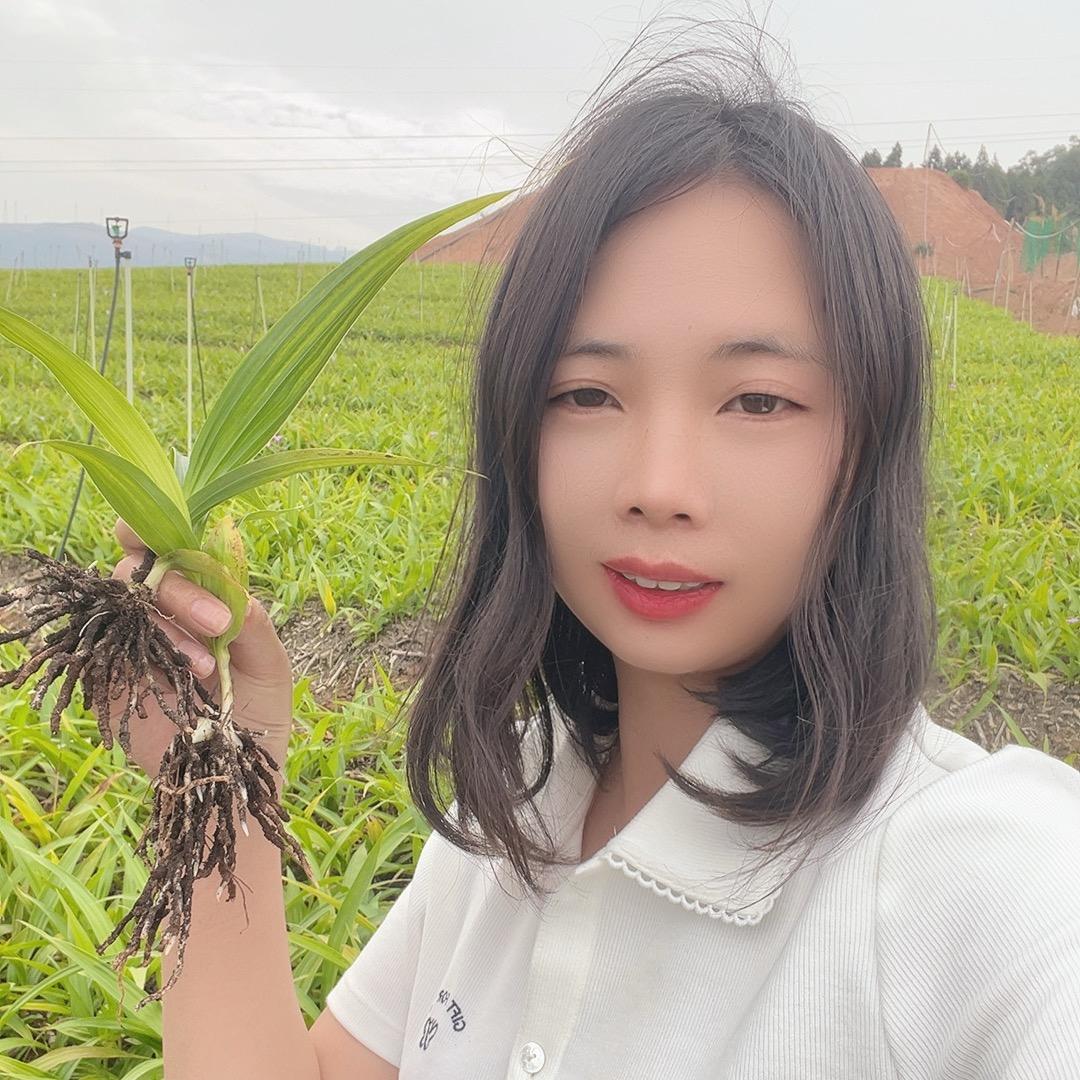 黄精普玉
