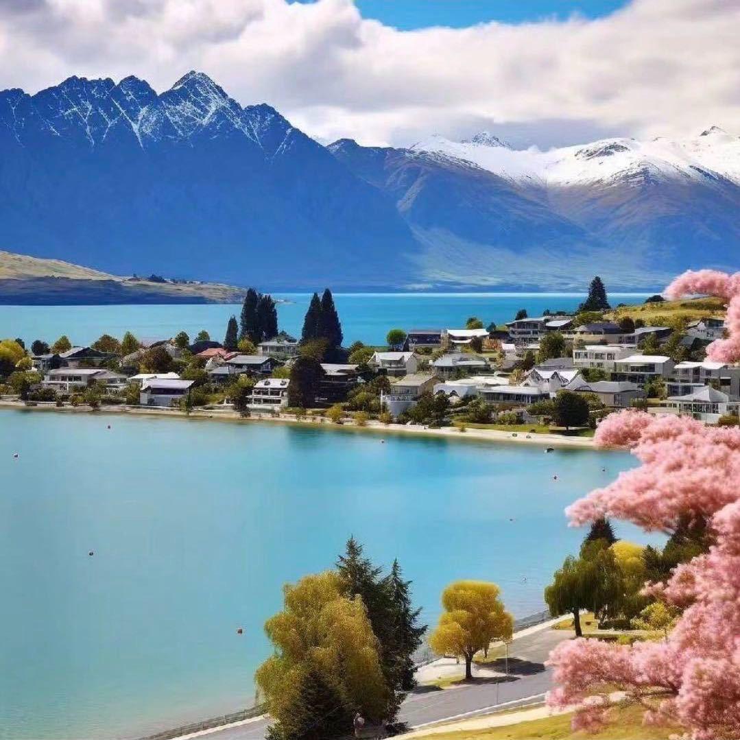 萍姨养老圈@抖音