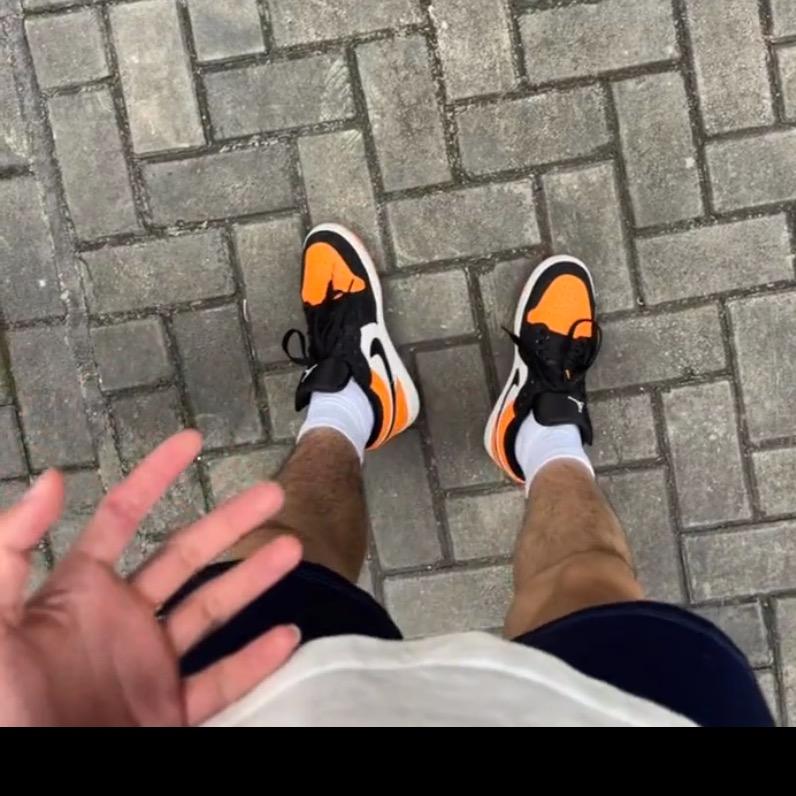 达尔文的小豌豆