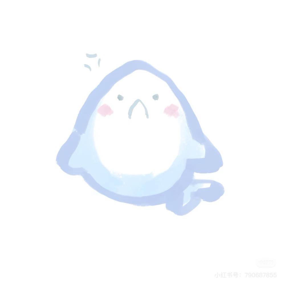 巨齿鲨鲨