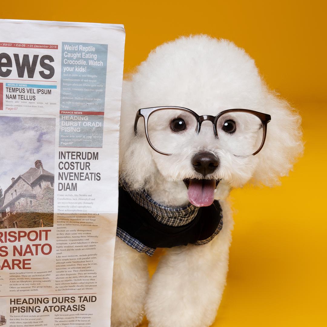 你说谁是干脆面