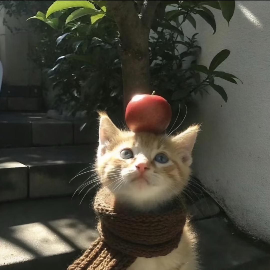 樹欲
