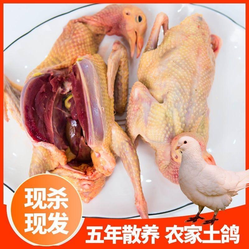 鸽香源优品