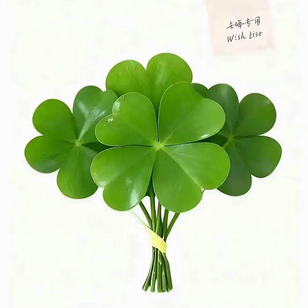 温泉没泡  温女士