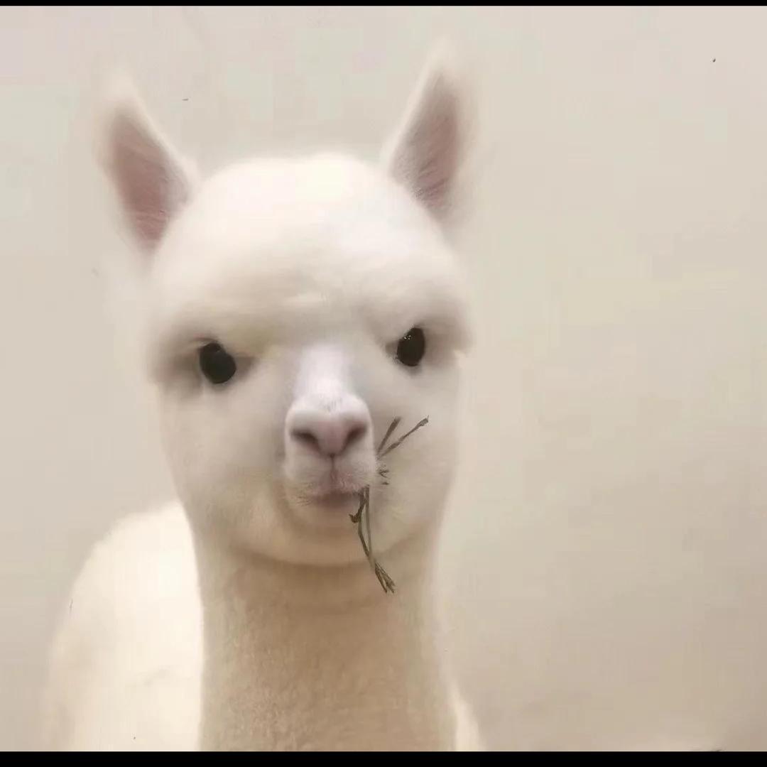 上上签!