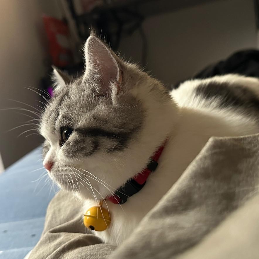 Ryan | 今日最佳🌛