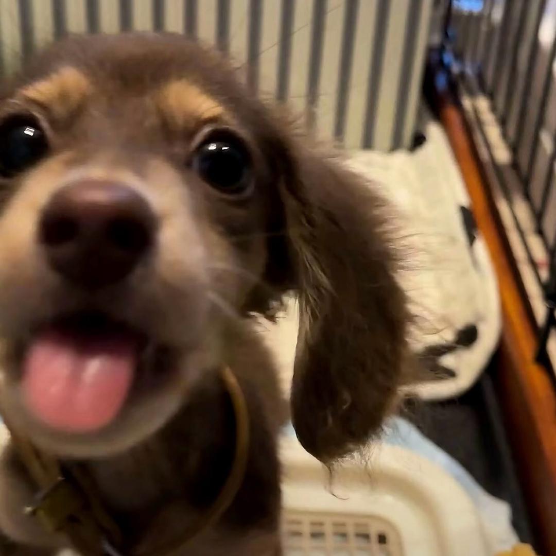 都怪那天太嘴硬