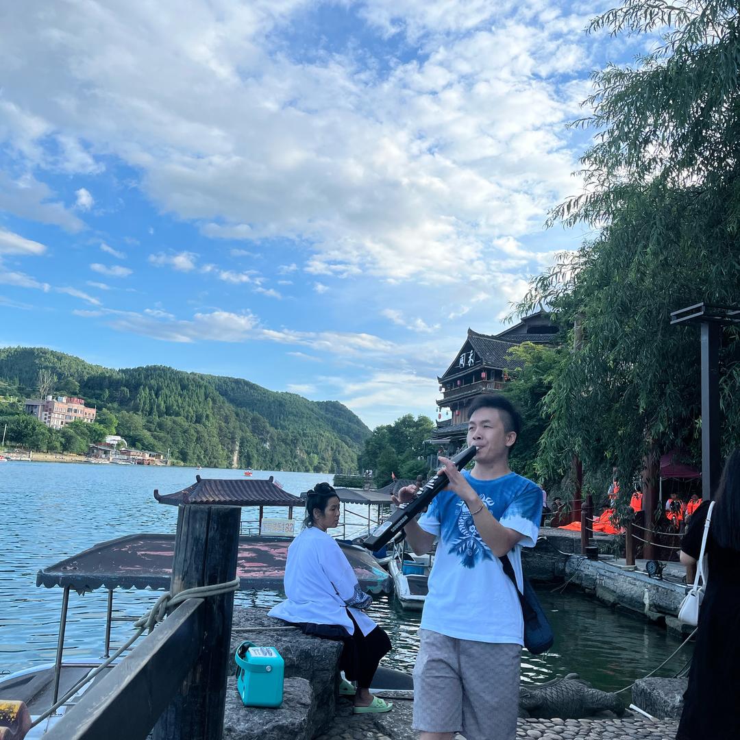 鲨鱼🦈