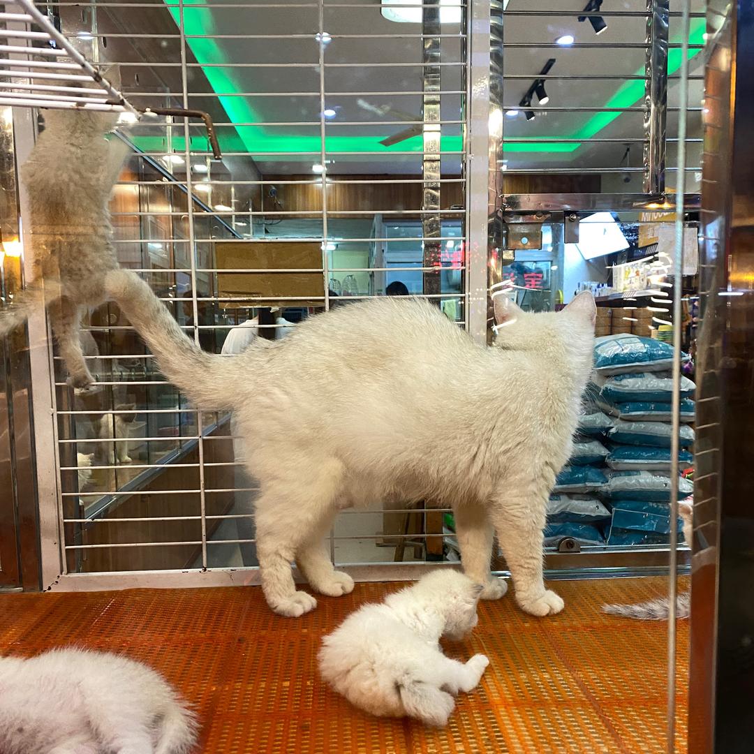 点解咁靓女？？