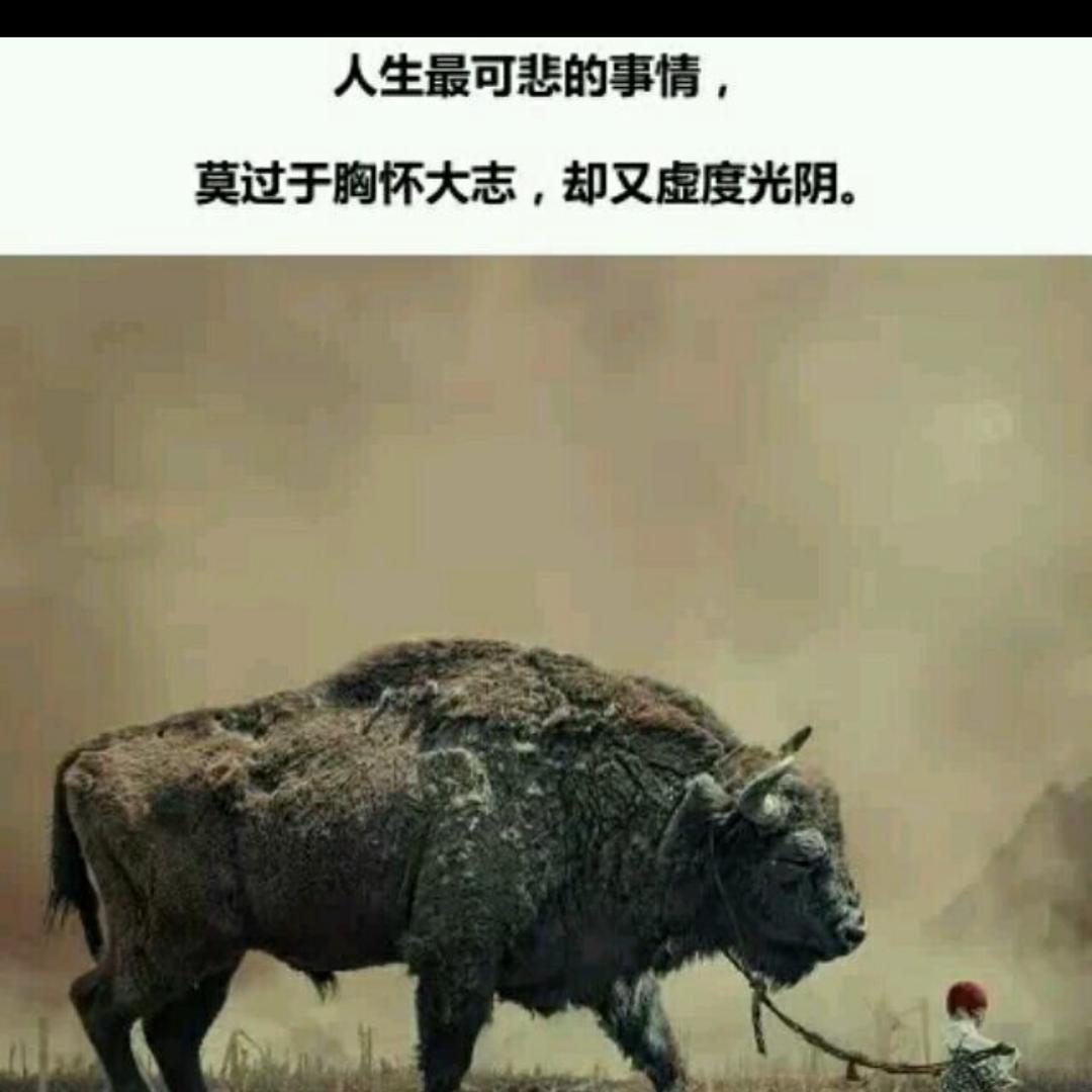 广西仔~