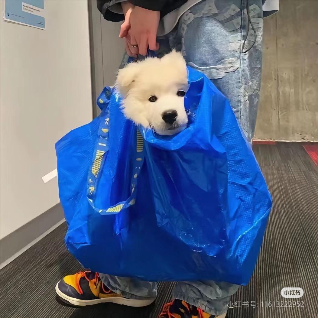 红浪漫前台经理