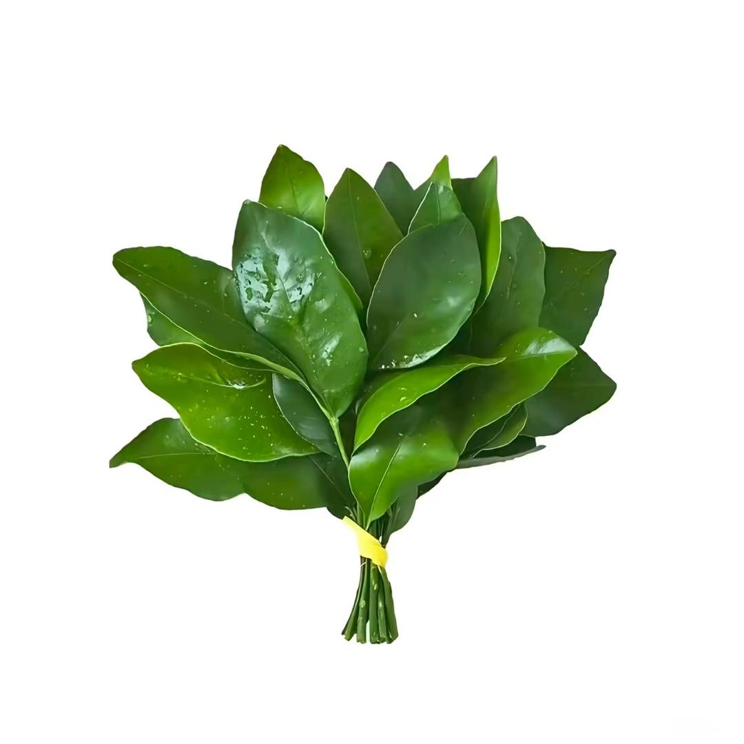 知趣，