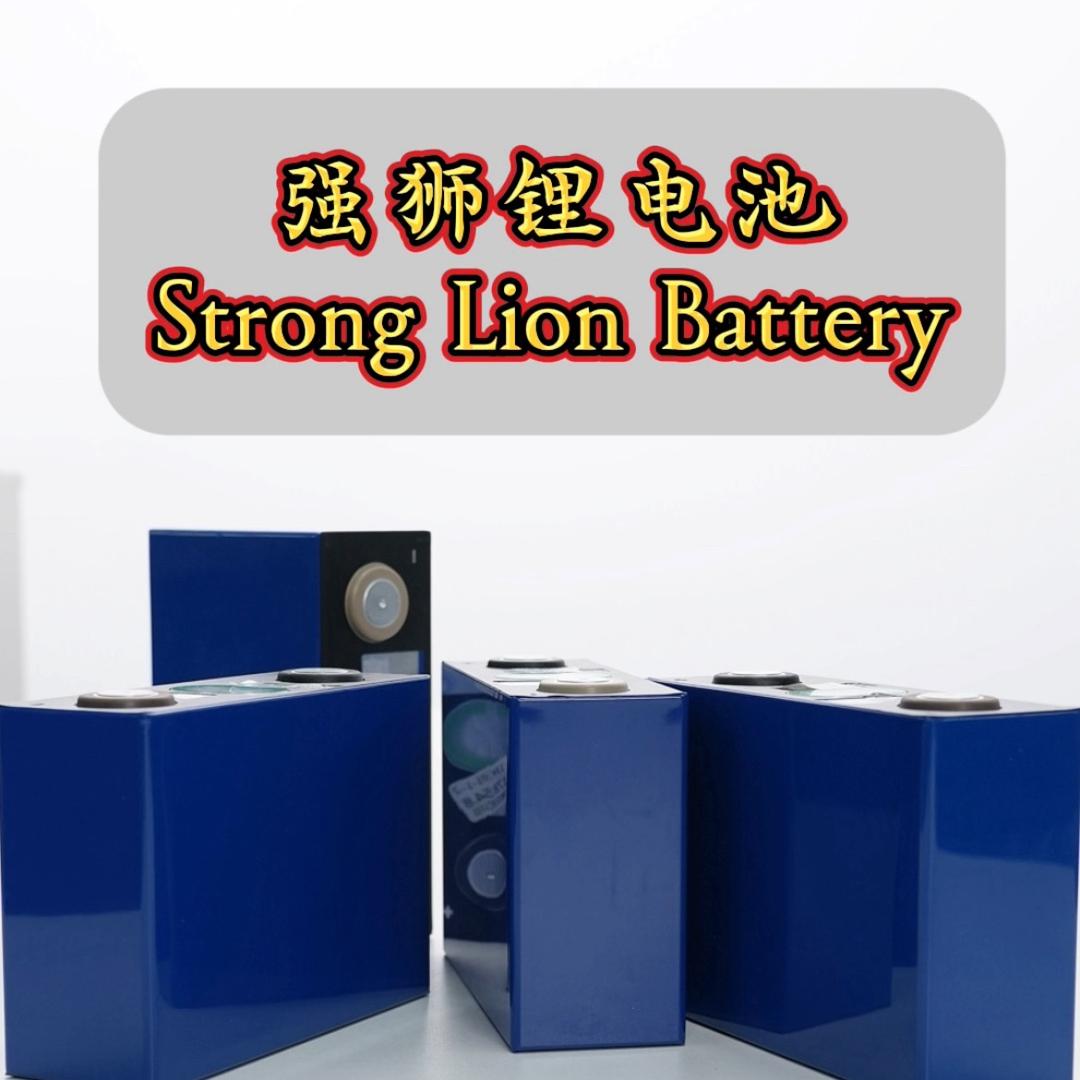 强狮锂电池源头工厂