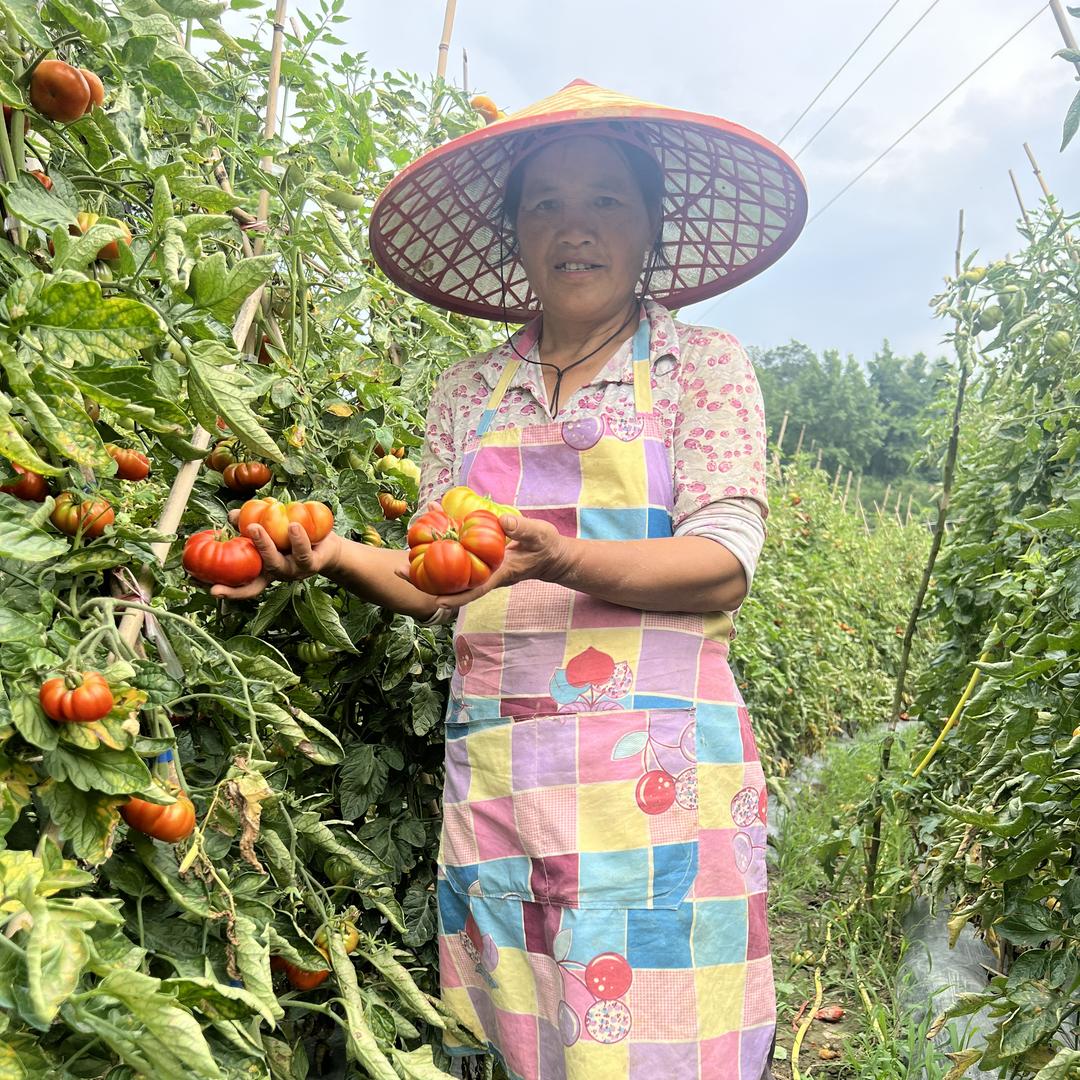 贵州老品种水果蔬菜