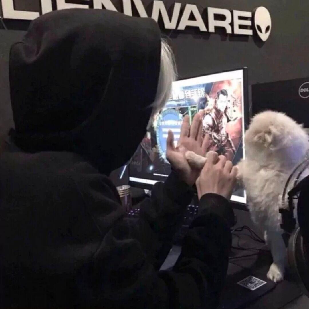 小洋🐑