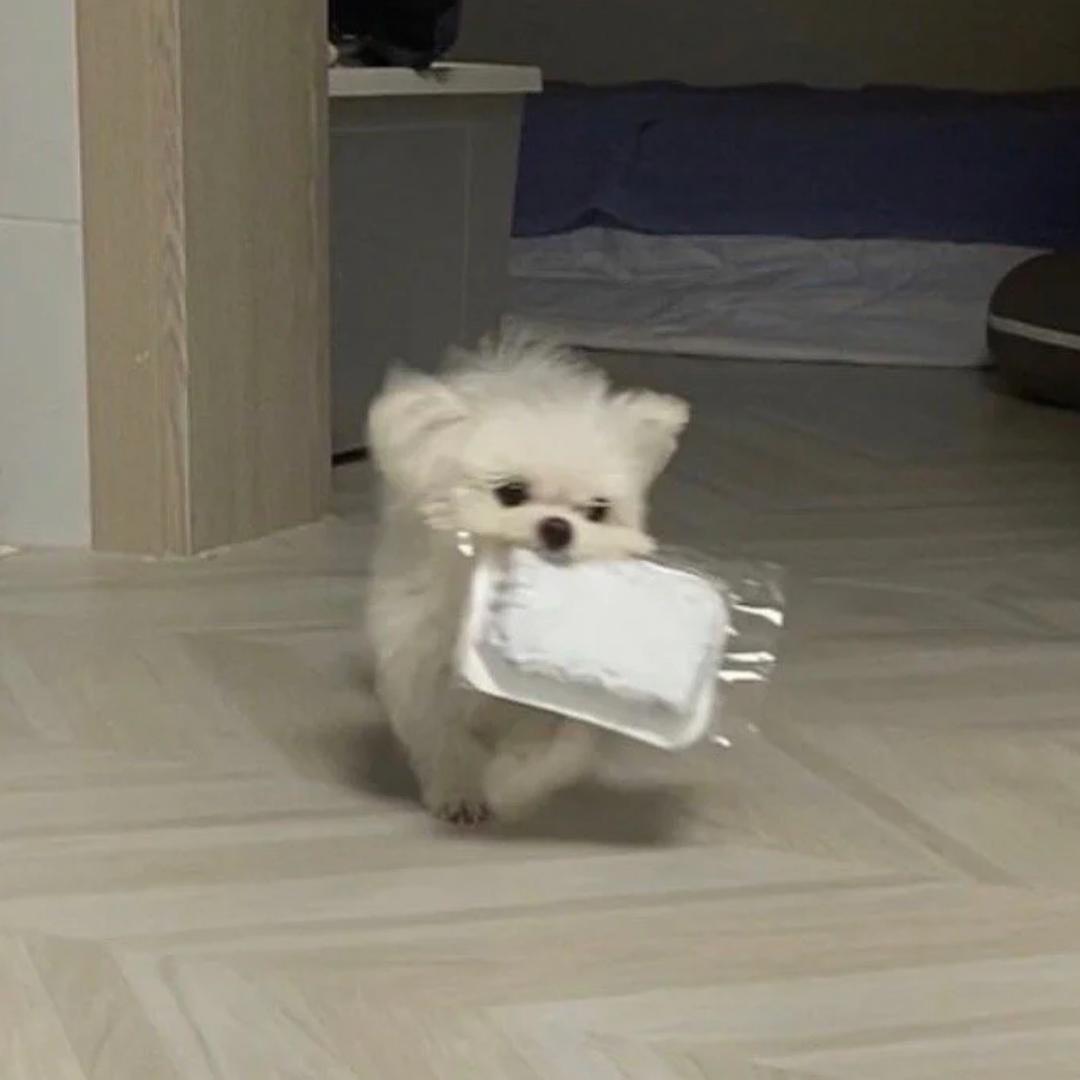 起司脆薯卷