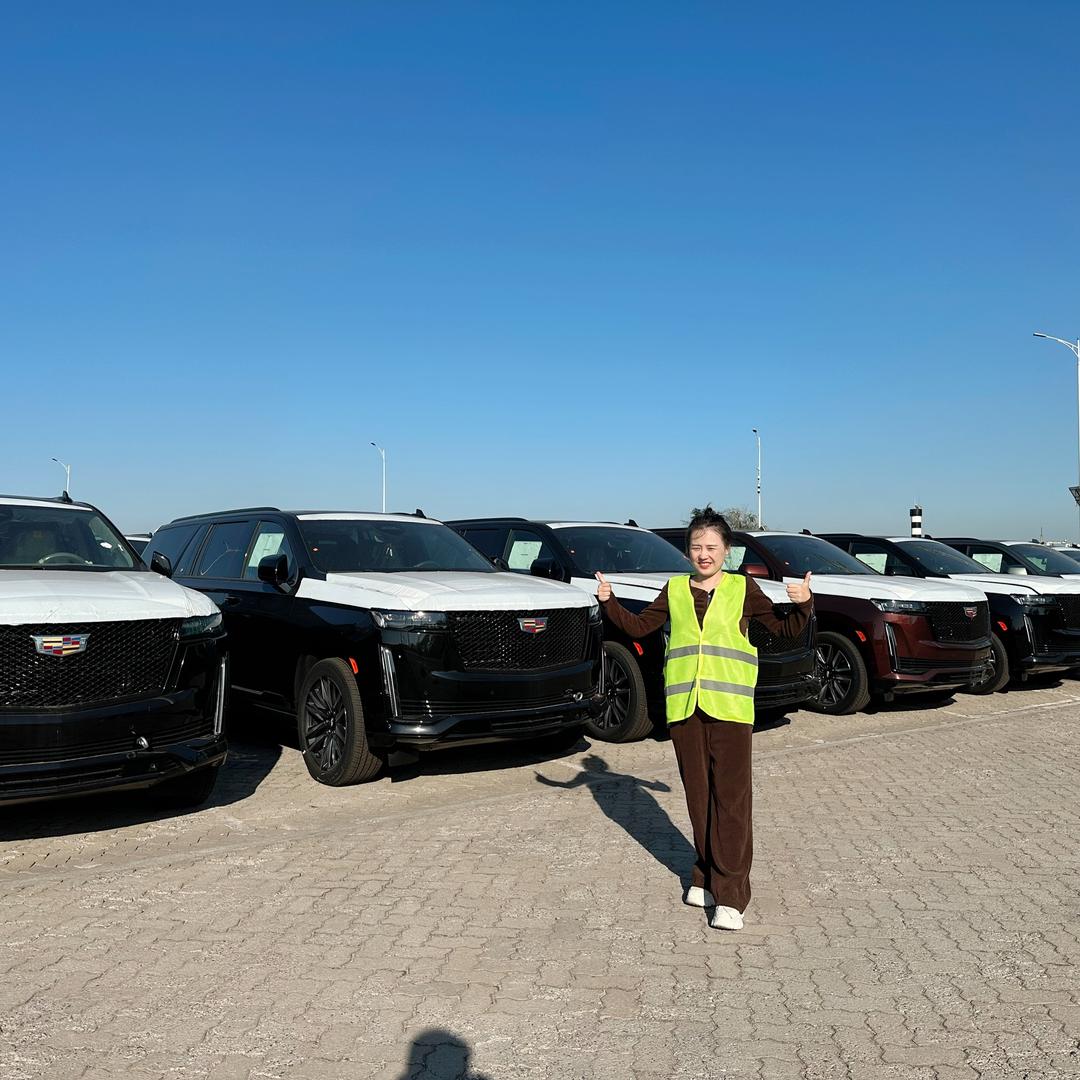 小雪的凯雷德们（量力国际）